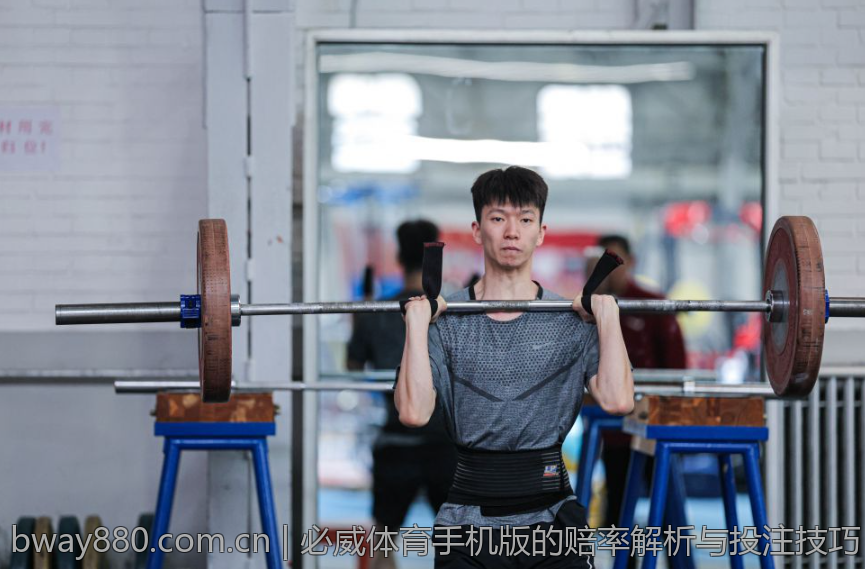 必威体育手机版的赔率解析与投注技巧